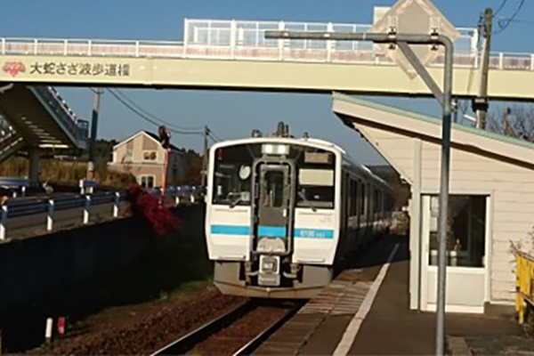大蛇さざ波歩道橋 大蛇さざ波歩道橋